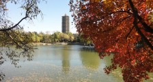 吉林农业大学2020年成人高等教育招生简章已公布