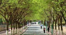 西北工业大学2020年强基计划招生简章