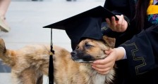 青岛科技大学2021年工商管理硕士(MBA)招生计划